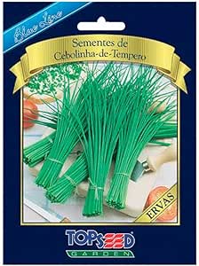 Sementes Cebolinha de Têmpero Topseed Garden