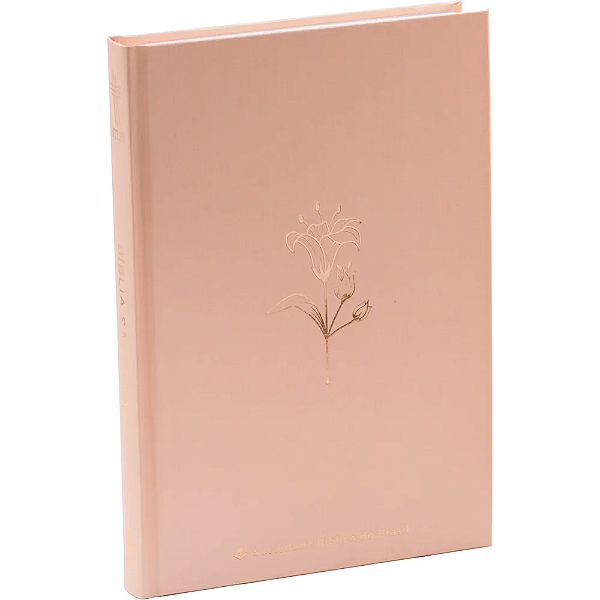 BÍBLIA SAGRADA NTLH - CAPA DURA/ROSA
