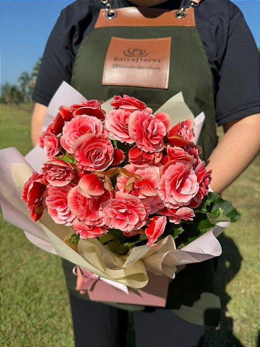Begônia Especial Rosa