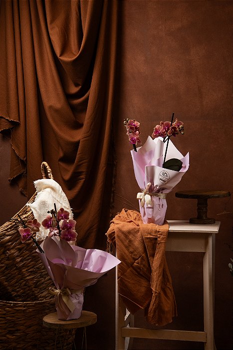 Orquídea Mini Decorada