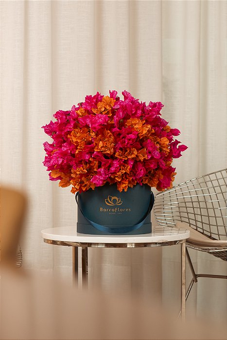 Box Bouganville Soleil