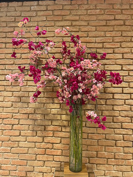 Bougainville em Estrutura Viva — Degradê Rosé