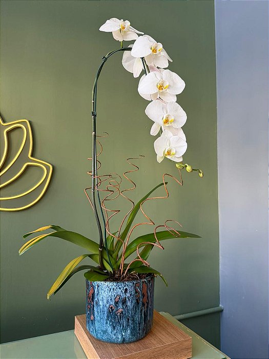 ORQUIDEA CASCATA EM VASO CERAMICA AZUL ESMALTADA