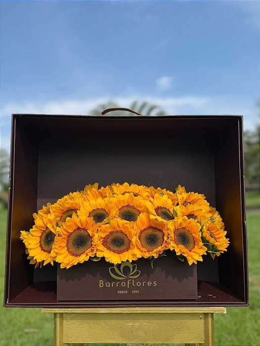 Malle de Fleurs Lumière | Girassóis Premium