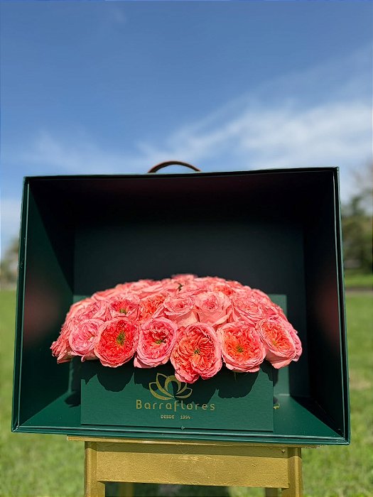 Malle de Fleurs Roseraie | Rosa Garden Premium