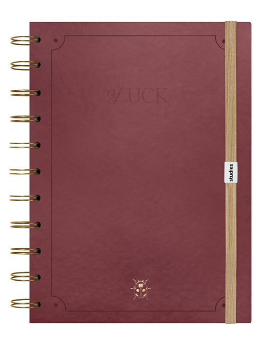 Caderno Universitário Luck 20x28 110 Fls Pautado - Studies