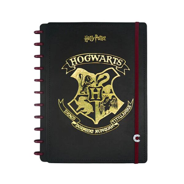 Caderno Inteligente Harry Potter - Grande 80 Folhas