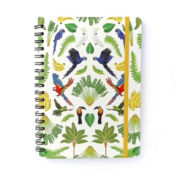 Caderno Espiral Colegial Pautado 17x24 Cicero - Pássaros
