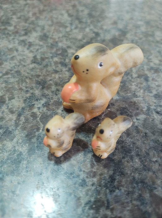 TERRÁRIO TRIO COM ESQUILOS