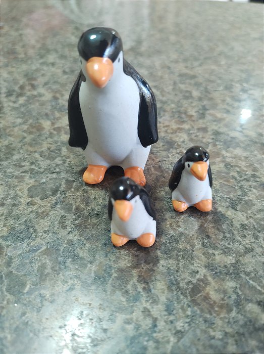 TERRÁRIO TRIO PINGUIM