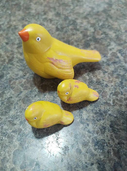 TERRÁRIO TRIO DE PASSARINHO AMARELO