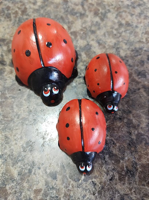 TERRÁRIO TRIO JOANINHA