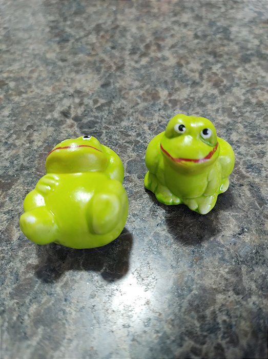 TERRÁRIO DUPLA DE SAPO GORDO