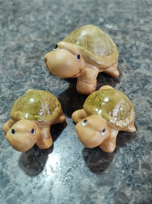 TERRÁRIO TRIO TARTARUGA