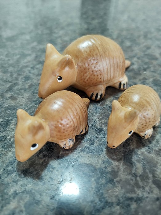 TERRÁRIO TRIO TATU