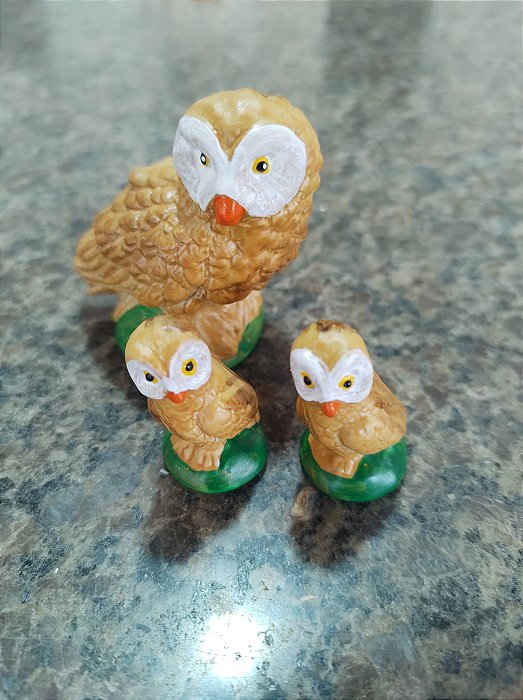 TERRÁRIO TRIO DE CORUJA
