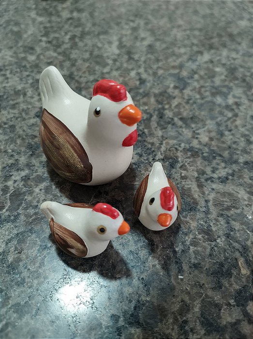 TERRÁRIO TRIO DE GALINHA