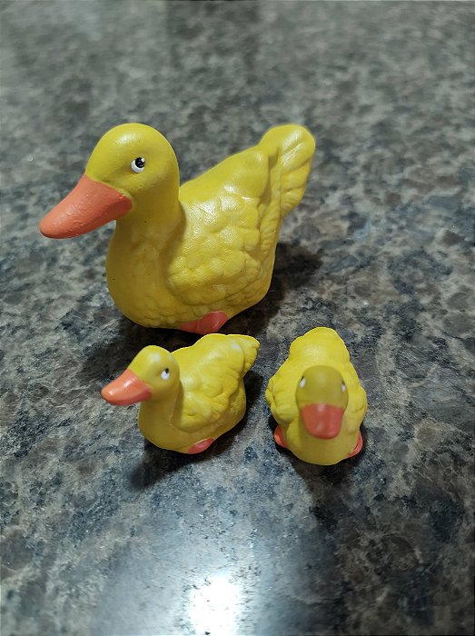 TERRÁRIO TRIO DE PATO AMARELO
