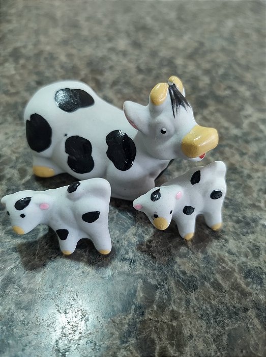 TERRÁRIO TRIO DE VACA