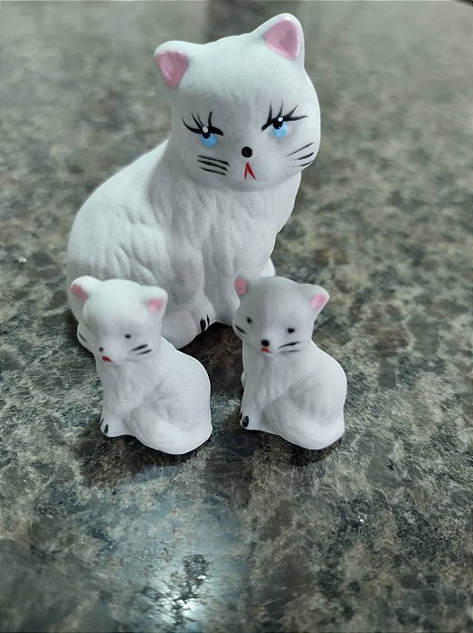 TERRÁRIO TRIO DE GATO