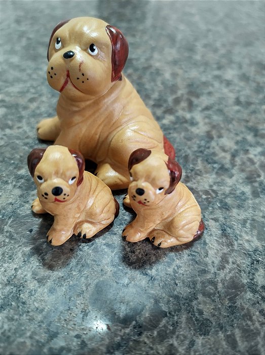 TERRÁRIO TRIO DE CACHORRO