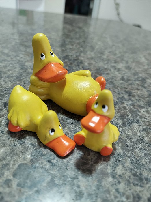 TERRÁRIO TRIO DE PATO DEITADO