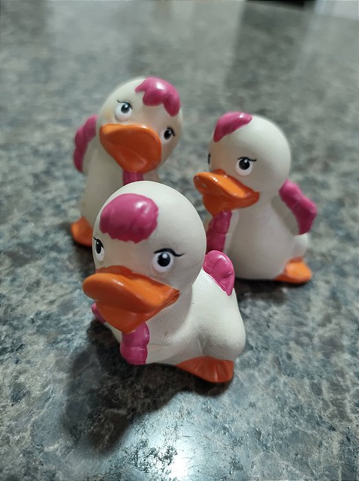 TERRÁRIO TRIO PATO DIVERTIDO