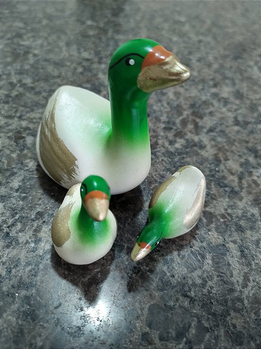 TERRÁRIO TRIO PATO COLORIDO