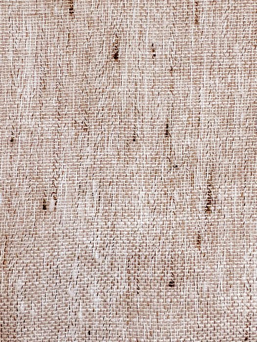 Pisa 11 - Linho Botonê Amendoa