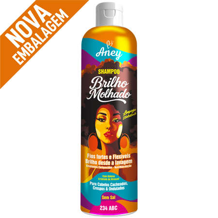SH ANEY BRILHO MOLHADO 300ML