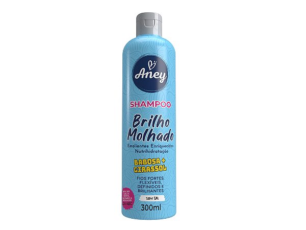 SH ANEY BRILHO MOLHADO 300ML