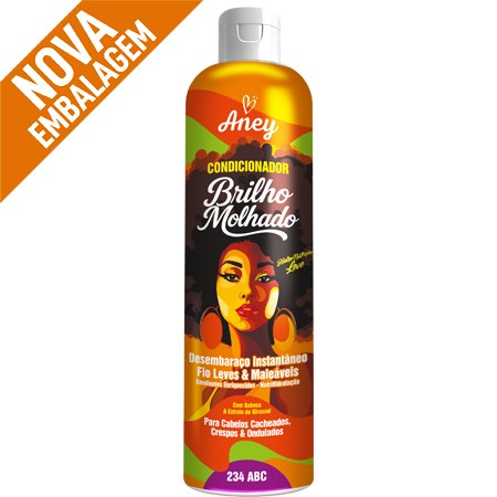 COND ANEY BRILHO MOLHADO 300ML