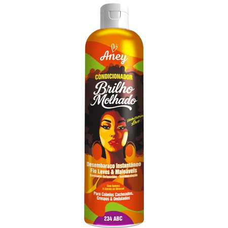 Condicionador Aney Brilho Molhado 300ml | Márcia Cosméticos