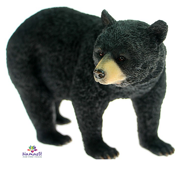 Urso