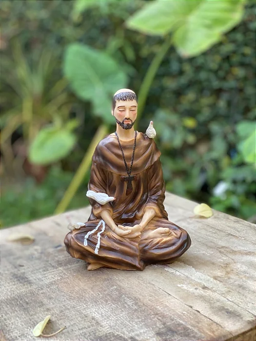 São Francisco de Assis Meditando