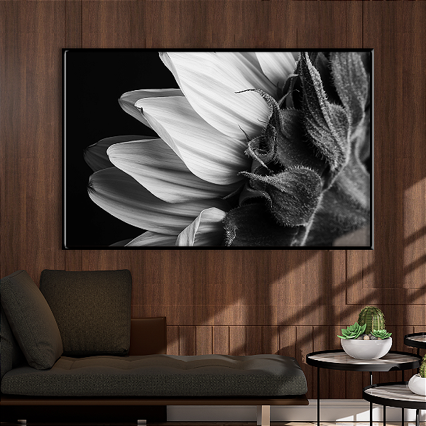 Quadro FineArt Flor de Girassol em Preto e Branco