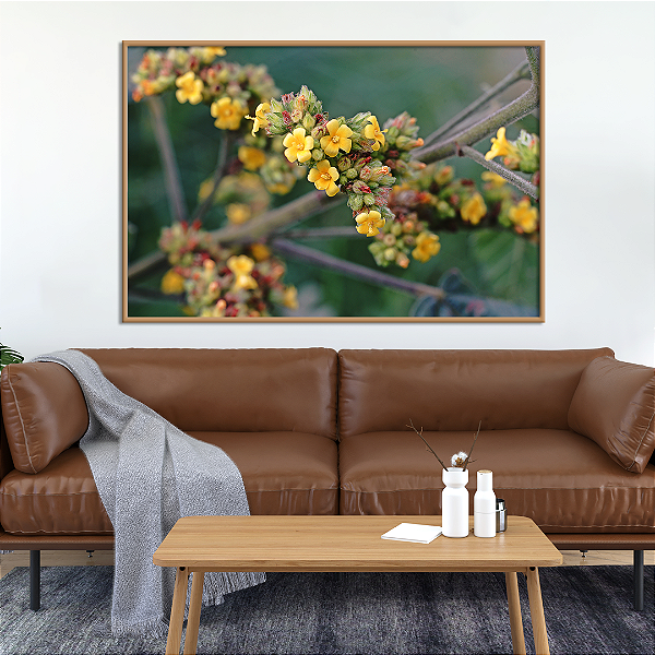 Quadro FineArt Flor Berberis Vulgaris Amarela