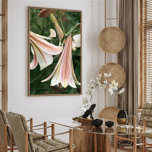 Quadro FineArt Flor de Lírio com Gotas de Chuva
