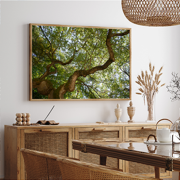 Quadro FineArt Galho de Salgueiro