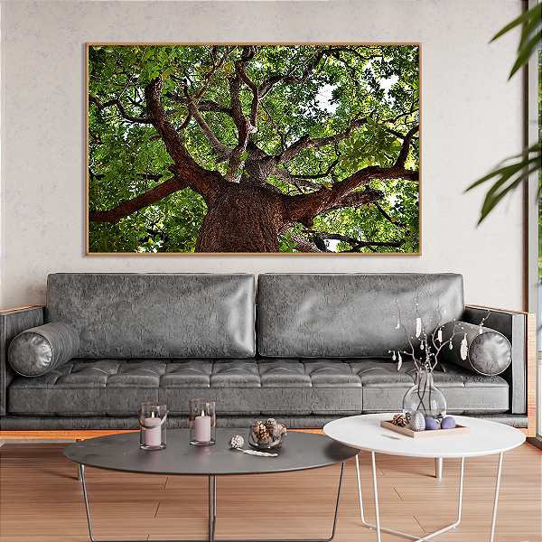 Quadro FineArt Árvore Antiga Vista por Baixo