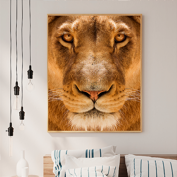 Quadro FineArt Leão Asiático