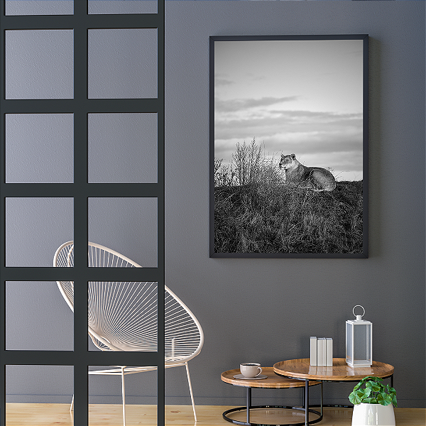 Quadro FineArt Leoa Observando a Natureza em Preto e Branco