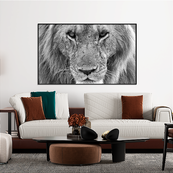 Quadro FineArt Olhar Feroz de um Leão do Atlas