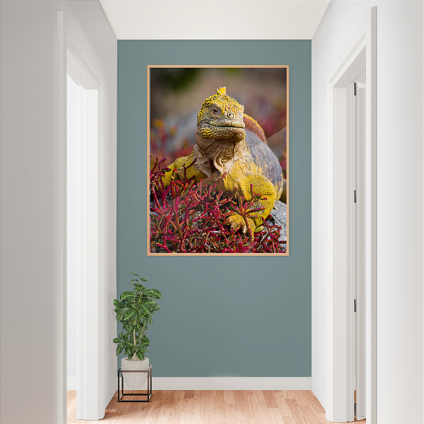 Quadro FineArt Iguana Amarela