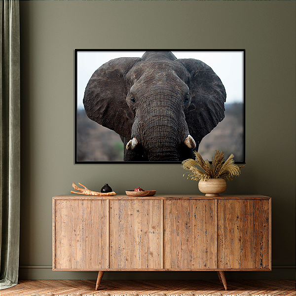Quadro FineArt Elefante da Savana