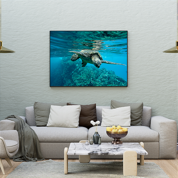 Quadro FineArt Tartaruga Verde
