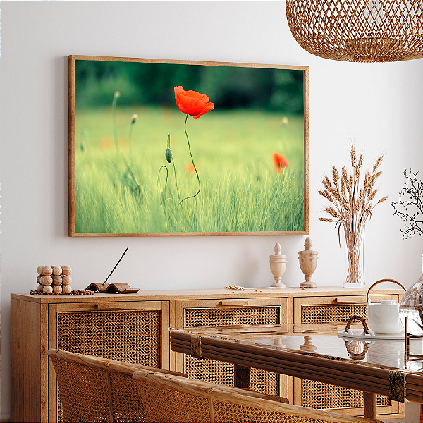Quadro FineArt Flor Papoula no Campo