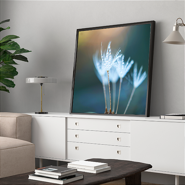 Quadro FineArt Flor Dente de Leão em Chuva