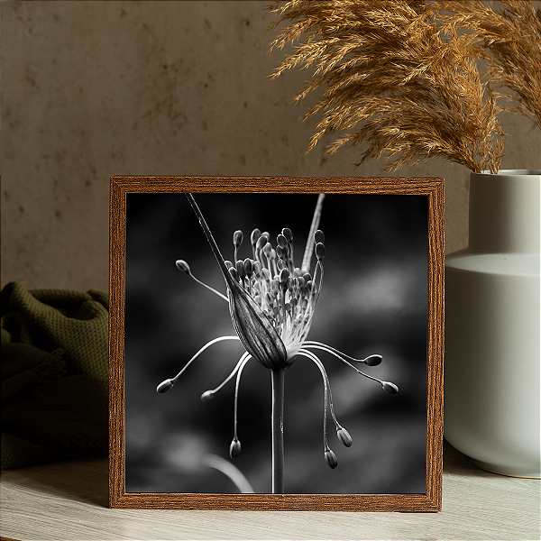 Quadro FineArt Vértice - Coleção Arte ao alcance