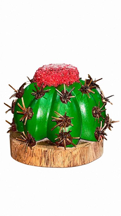 Artesanato Cacto Madeira Coroa do Frade com Espinhos Naturais - Verde